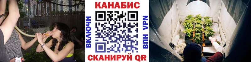 Канабис конопля Дыгулыбгей